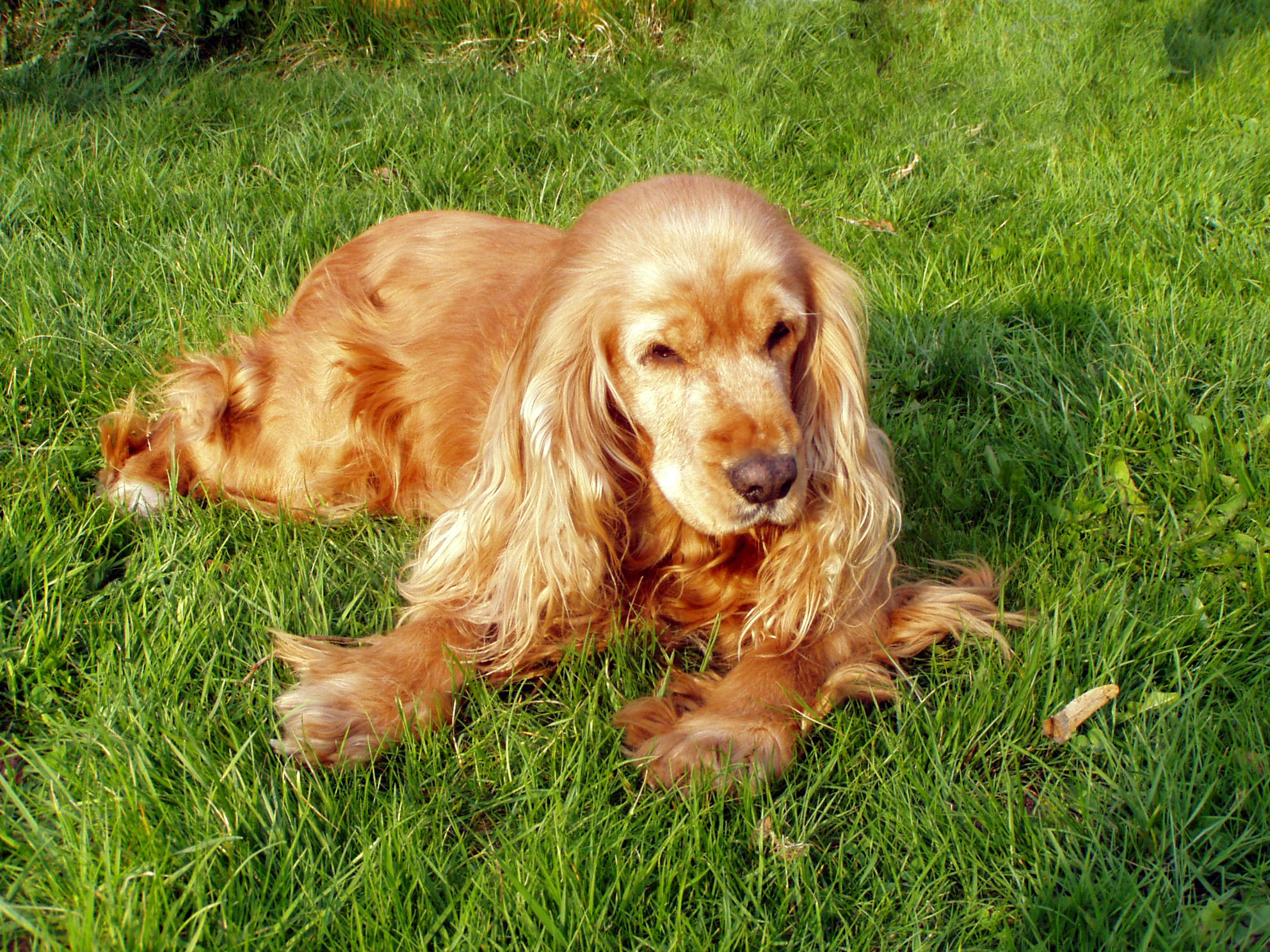 čarodějnice 2005 020.jpg